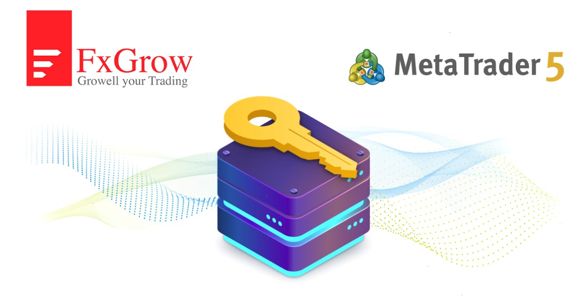 FxGrow Limited: “MetaTrader 5访问服务器主机服务拥有其他提供商无法比拟的优势”